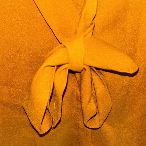 Frank and Oak blouse with tie - Picture 3 of 9